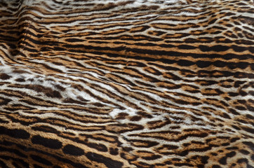 leopard fur coat background texture