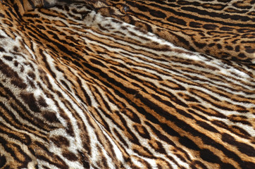 leopard fur coat background texture