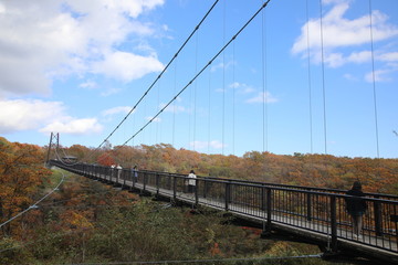 Tsutsuji Suspension Bridge, Nasu, Tochigi, Japan