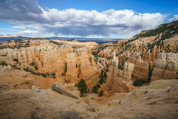 hiking the rim trail in bryce canyon national park, utah, usa