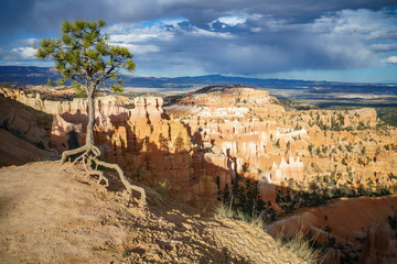 hiking the rim trail in bryce canyon national park, utah, usa