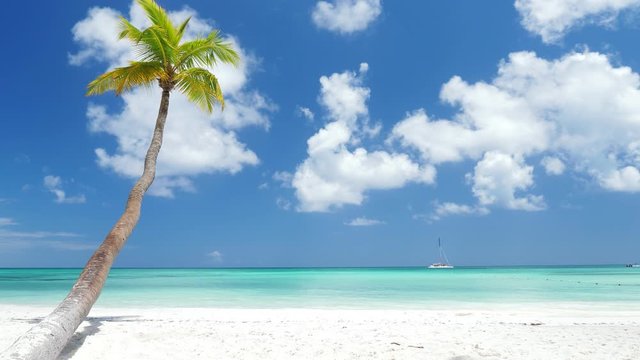 Coconut palm trees on white sandy beach on caribbean island. Travel destinations