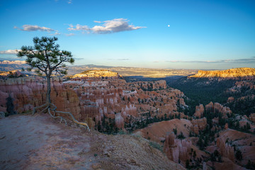 hiking the rim trail in bryce canyon national park, utah, usa