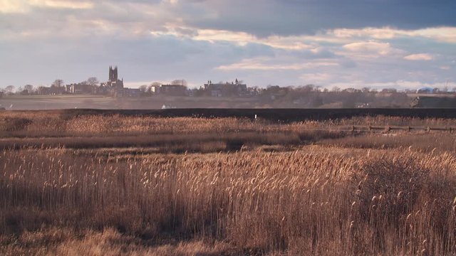 Wetlands of Bird Sanctuary, wildlife refuge near historical Newport RI