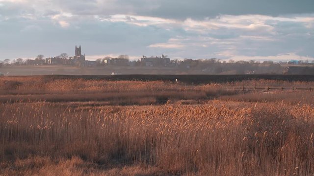 Bird Sanctuary wildlife refuge near historical Newport RI, warm sunset