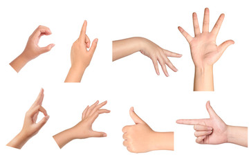 Set of woman hands gesturing isolated on white background.