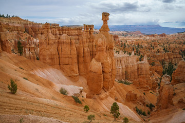 hiking the rim trail in bryce canyon national park in utah in the usa
