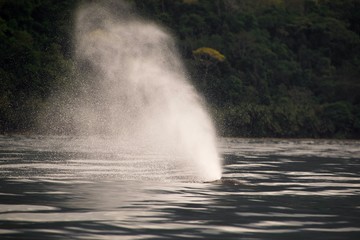 waterfall in yosemite national park