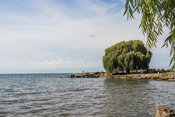 Summer landscape with a lake and rocky shores.  in the center is a large willow, around which...