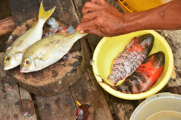 Woman cutting fishes fresh caught from the Borneo sea.