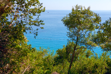 exotic summer nature and blue sea