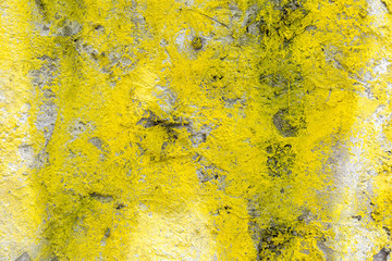Texture of cement concrete wall with yellow paint.