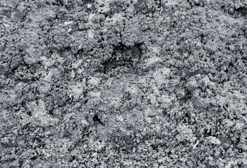 Texture of concrete wall with rough stucco