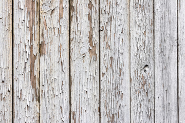 background. old wooden fence with peeling white paint.