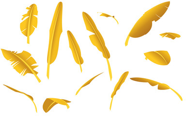 golden leafs on the white background	