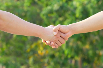 Handshake of two people in business cooperation and partnership with green natural background for agreement concept purpose