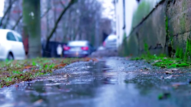 Drops of rain fall on the asphalt. Snow is melting, spring is coming close-up