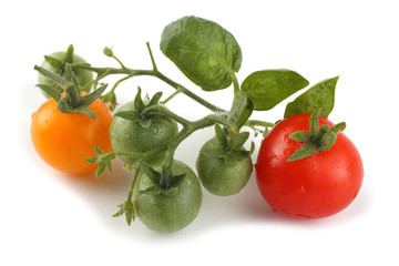 Red and yellow cherry tomatoes 