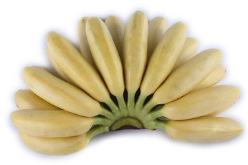 Bunch of bananas isolated on white