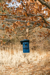 Blue birdhouse hanging from a tree branch