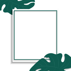 Swiss cheese plant leaves with white square shape on white background. Summer concept. Vector illustration.