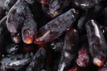 Honeyberries background. Far Eastern delicacy. Macro