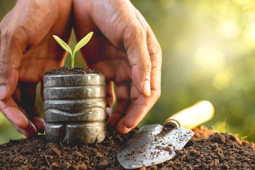 Seedlings in recycled plastic bottles are placed on fertile soil.