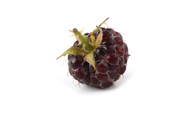Black raspberry (Rubus idaeus) isolated on white