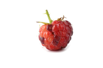Unripe black raspberry isolated on white