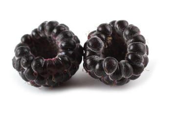 Two black raspberries (Rubus idaeus) isolated on white