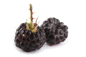 Two black raspberries (Rubus idaeus) isolated on white
