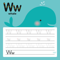 Alphabet tracing worksheet for preschool and kindergarten to improve basic writing skills, letter W, whale, vector, illustration 