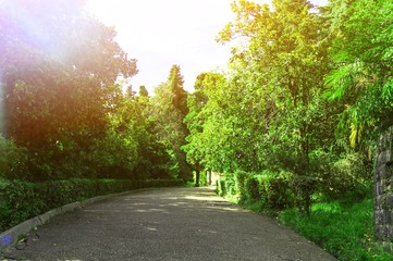 Obraz premium Alley.