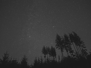 Vintage Milky Way