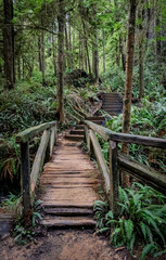 Old footbridge on a path in the redwoods at Jedediah Smith State Park in Northern California