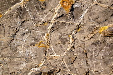 Rock formation for background. Gray color, a network of white veins, yellow lichen.