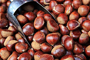 소래포구입니다