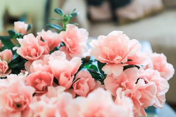 Soft pink azalea stands on a table in the living room. Flowering indoor plants in the interior. Close up. Selective focus