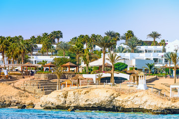 Palm trees on the tropical beach
