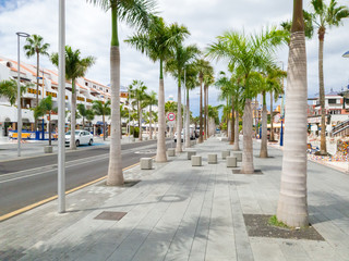 Fototapeta na wymiar Beautiful image of palm tree ally on the tropical island city street