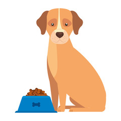 cute dog with dish food isolated icon vector illustration design