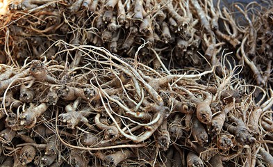 강화5일장에다녀왔습니다