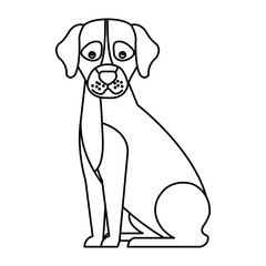 cute dog animal isolated icon vector illustration design