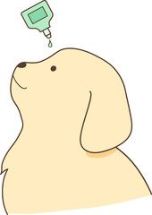 ゴールデンレトリバーの子犬（目薬・点眼）