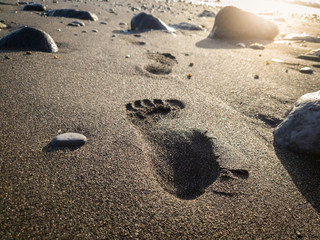 Beautiful image of footprint on wet ocean beach sand between rocks at sunset