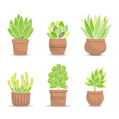 Obraz premium Collection of small green bushes in baked clay flowerpot. Potted plants; Vector Illustration.