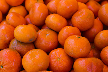 background of a multitude of whole tangerines close-up