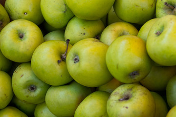 background of green whole apples of Simirenko variety
