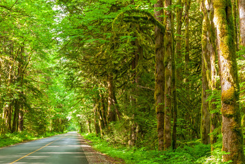 Mountain Trail in British Columbia, Canada. Mountains Background.