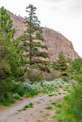 Fototapeta premium Mountain Trail in British Columbia, Canada. Mountains Background.